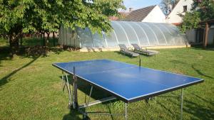 Stolný tenis v ubytovaní Habánský dům alebo v jeho okolí