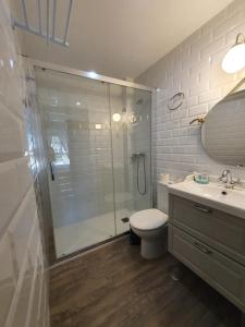 a bathroom with a shower and a toilet and a sink at El Nogal Home in Málaga