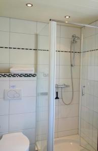 a bathroom with a shower and a toilet at Ferienwohnungen Keiß in Fischen