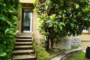 Vonkajšia záhrada v ubytovaní luxury villa in como lake