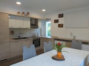 Una cocina con una mesa con una planta encima. en Divača, Vila Srebrna, en Divača