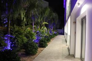 Gallery image of JOY Hotel Apts in Ayia Napa