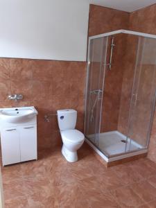 a bathroom with a toilet and a shower and a sink at Stáj Zakšín - špejchar in Dubá