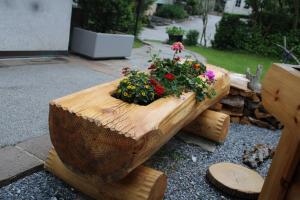 Zahrada ubytování Hotel Rauscher - Das Naturteichparadies