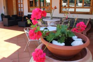 a potted plant with pink flowers in a lobby at B&B La Vigna in Lamezia Terme