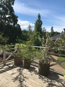 tre piante in vaso sedute su un ponte di legno di Arphus Lodge a Eskilstuna