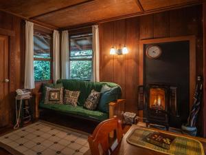 a living room with a green couch and a fireplace at Crater Rim Cabin in Volcano