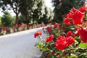 A garden outside Masseria Lacatena
