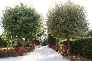 A garden outside Masseria Lacatena