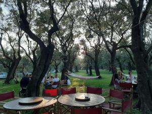a group of people sitting around tables in a park at Antico Uliveto in Seravezza