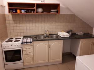 Kuchyň nebo kuchyňský kout v ubytování Bianka Apartmanház