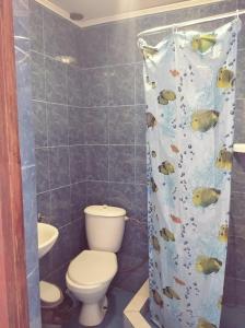 ゲレンジークにあるGuesthouse U Dmitriaのバスルーム(トイレ、魚の入ったシャワーカーテン付)