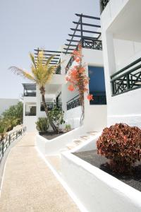 biały dom z palmami po bokach w obiekcie Apartment Portonovo Paraiso - Sea View - Piscina - Wifi - Old Town w Puerto del Carmen