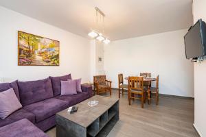 Televízia a/alebo spoločenská miestnosť v ubytovaní Beautifully renovated flat in superb location
