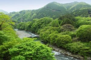 a river running through a forest with mountains in the background at Nanaeyae in Nikko