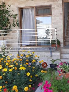 a garden of flowers in front of a window at VILA IRINA in Mangalia
