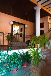 a porch with potted plants in front of a building at Fabrica de Harina in Ventas con Peña Aguilera