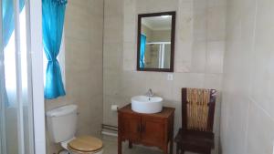 ein Badezimmer mit einem Waschbecken, einem WC und einem Spiegel in der Unterkunft Little Sister's in Colchester