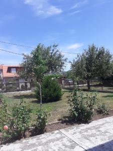 Photo de la galerie de l'établissement Apartman Damjanovic, à Cetinje 13 autres photos