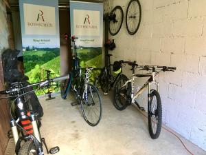 Attività di ciclismo presso l'hotel o nelle vicinanze