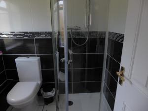 a bathroom with a toilet and a shower at Mayfields Guest House in Wokingham