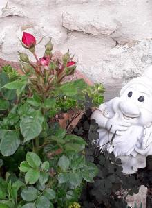 a teddy bear sitting in a flower pot at Agriturismo Grossola in Castiglione dʼOrcia