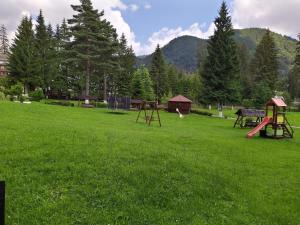 a park with two play equipment in the grass at Hotel Ruia in Poiana Brasov