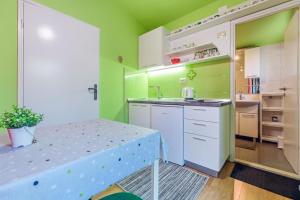 eine Küche mit grünen Wänden und einer Arbeitsplatte in der Unterkunft Apartman Veronika Zadar in Zadar