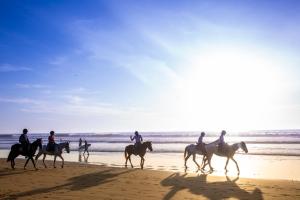 a group of people riding horses on the beach at The Lunar Surf House in Tamraght Ouzdar