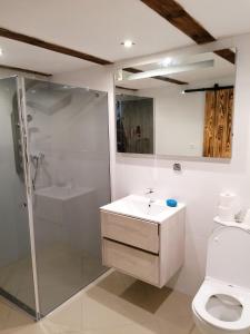 a bathroom with a toilet and a shower and a sink at Wiking in Turawa +85 photos