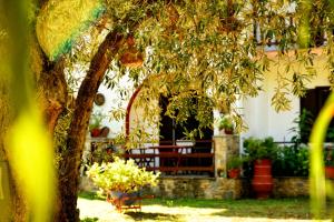 un banco frente a una casa con un árbol en Spiros Rooms, en Panormos Skopelos