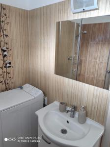 a bathroom with a sink and a toilet and a mirror at ALEX Apartman in Sopron