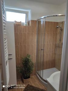 uma casa de banho com chuveiro e uma planta em ALEX Apartman em Sopron