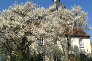a tree with white flowers in front of a house at Liebevolles, altes Schulhaus im Vintage Stil in Wartmannsroth