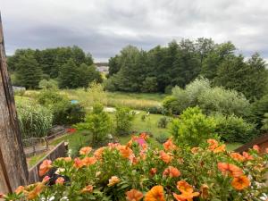 a garden with orange flowers in the foreground at Chambres d'hôtes "La Bouill'hôte" in Langensoultzbach