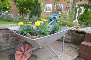 a wheelbarrow filled with plants in a garden at Lakeside Old Hunstanton in Hunstanton