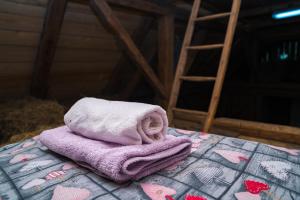 a towel sitting on top of a table with a ladder at Učni ranč, Bohinj in Bohinj