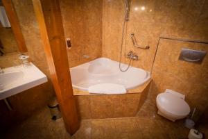 Łazienka w obiekcie LH Hotel Dvořák Tábor Congress & Wellness