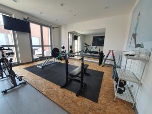 a gym with treadmills and exercise equipment in a room at Hotel Motel 2 in Castel San Giovanni
