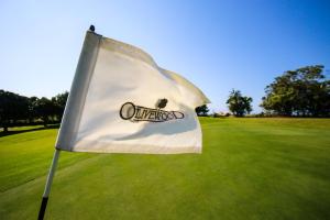 Golf v hotelu nebo okolí