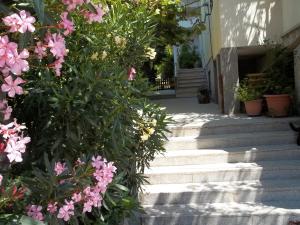 a set of stairs with pink flowers on them at Lovrić Apartments in Baška