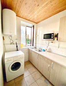 a kitchen with a washing machine and a sink at Akmuo Ant Akmens in Šventoji +69 photos