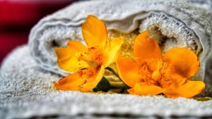 un primer plano de flores amarillas en una toalla en Bed & Breakfast Milù, en Cuneo