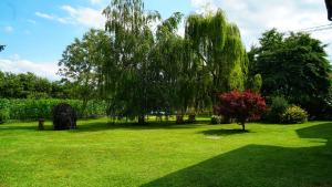 un giardino verde con un salice piangente e un cespuglio di Bed & Breakfast Milù a Cuneo