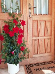 a door with a potted plant in front of it at B&B La casa di Loretta in Paderno