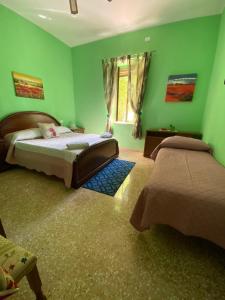 Silvi PaeseにあるB&B Santa Luciaの緑豊かなベッドルーム(ベッド2台、窓付)