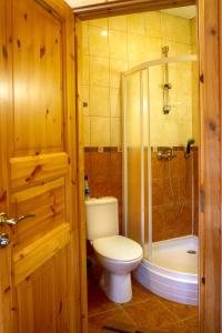 a bathroom with a toilet and a shower and a tub at Country Club Orekh in Orekhovo