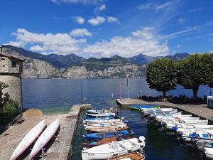 a bunch of boats are lined up in the water at Klimt's Mill overlooking Port in Malcesine