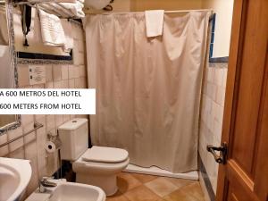 a bathroom with a toilet and a shower curtain at Abadía Hotel in Granada