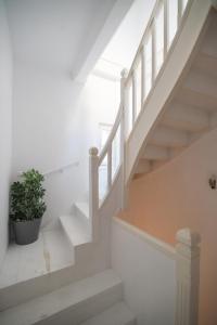 una escalera blanca con una maceta en Apollonas Luxurious Apartments en Atenas